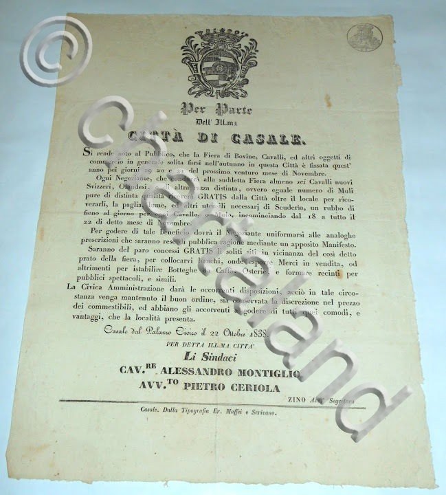 Manifesto Casale Monferrato Fiera Bovini Ricompense x Cavalli di Razza …