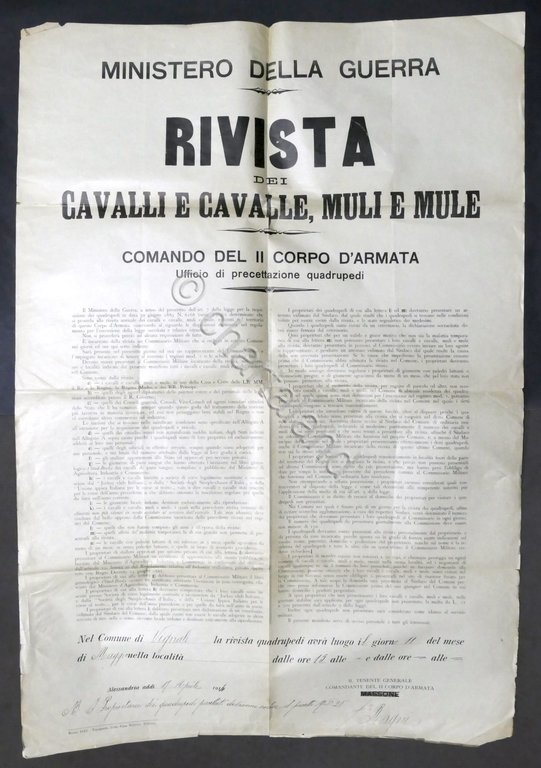 Manifesto Ministero Guerra - Rivista dei cavalli e cavalle, muli …