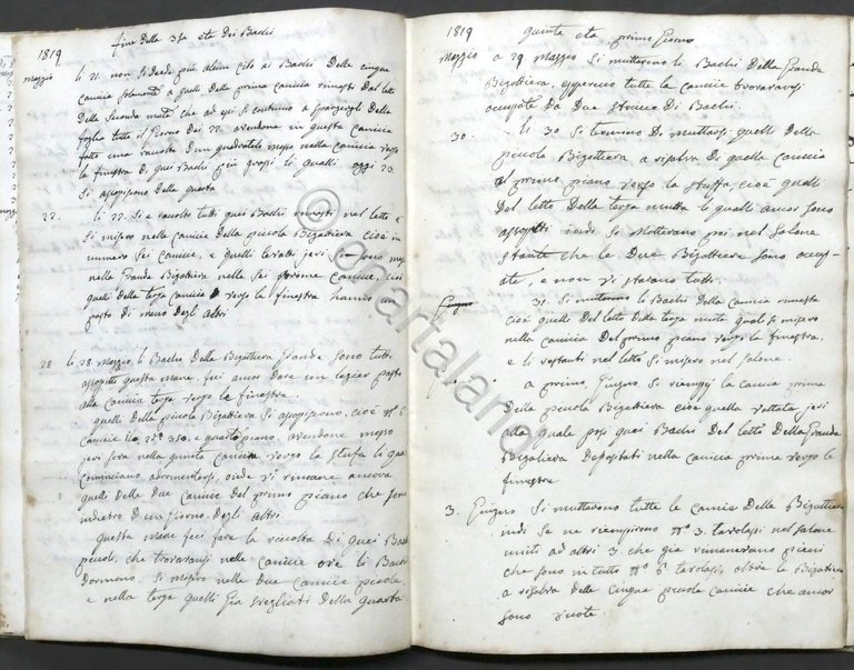 Manoscritto sui Bachi da Seta secondo le regole del Conte …