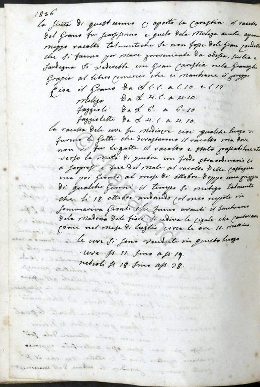 Manoscritto sui Bachi da Seta secondo le regole del Conte …