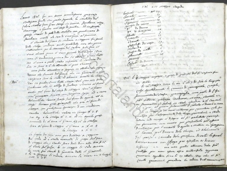 Manoscritto sui Bachi da Seta secondo le regole del Conte …