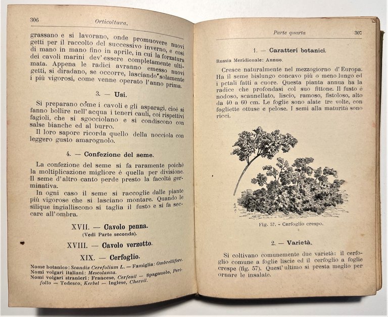 Manuale Hoepli - D. Tamaro - Orticoltura - ed. 1910