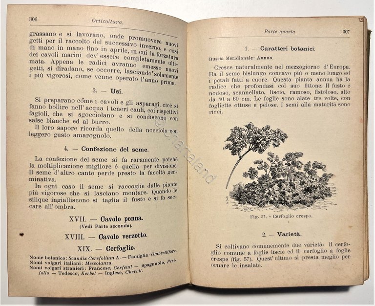 Manuale Hoepli - D. Tamaro - Orticoltura - ed. 1910