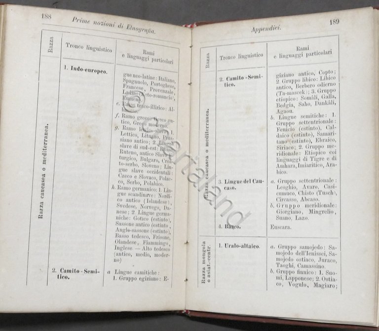 Manuali Hoepli - Bartolomeo Malfatti - Etnografia - ed. 1883