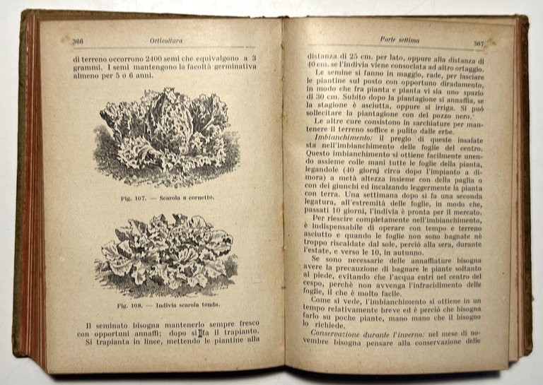 Manuali Hoepli - D. Tamaro - Orticoltura - ed. 1924