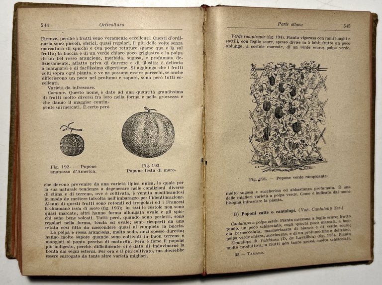 Manuali Hoepli - D. Tamaro - Orticoltura - ed. 1924