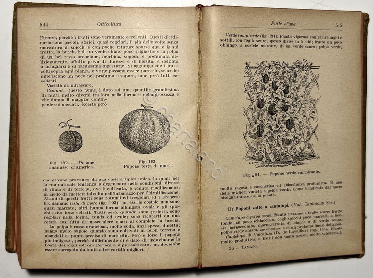 Manuali Hoepli - D. Tamaro - Orticoltura - ed. 1924