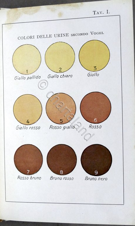 Manuali Hoepli - Dott. Giacomo Tellera - Analisi Urine - … | Immagine Gallery 3