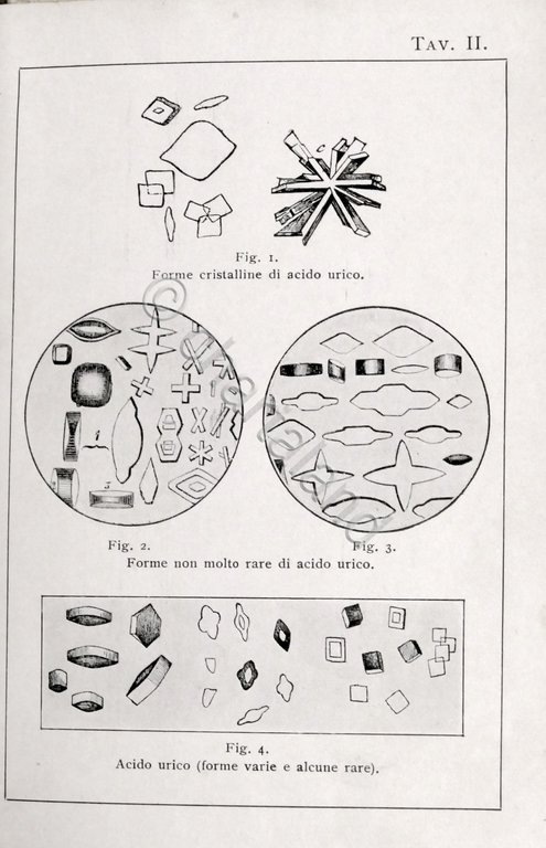 Manuali Hoepli - Dott. Giacomo Tellera - Analisi Urine - … | Immagine Gallery 4