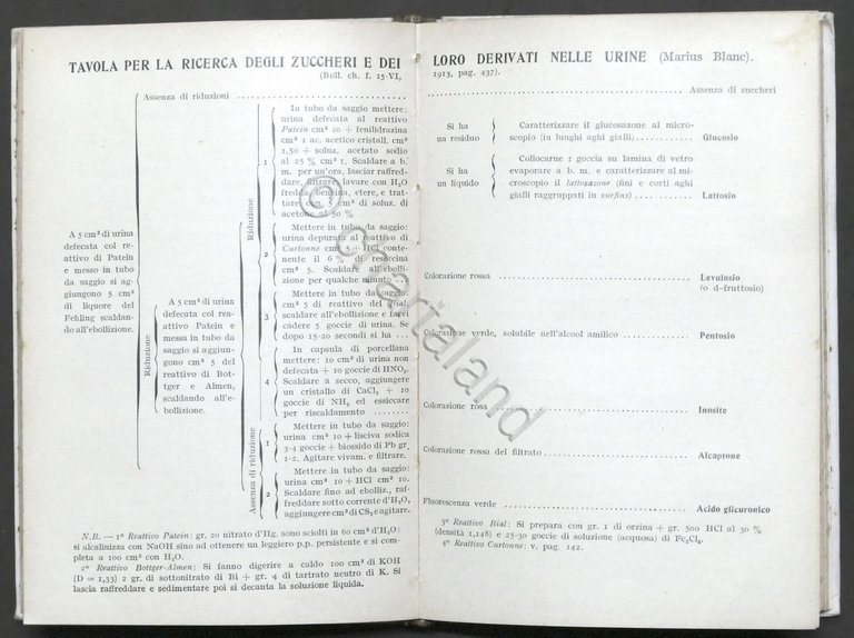 Manuali Hoepli - Dott. Giacomo Tellera - Analisi Urine - … | Immagine Gallery 6