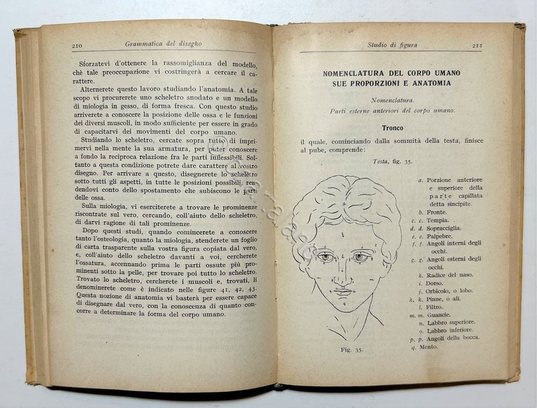Manuali Hoepli - G. Ronchetti - Grammatica del Disegno - …