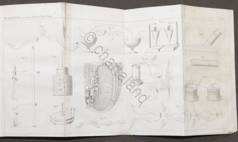 Matteucci - Cours d'electro-physiologie 1858 / Corso di elettro-fisiologia 1861
