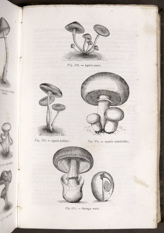 Medicina - A. Corlieu - Aide-Memoire de medecine de chirurgie …