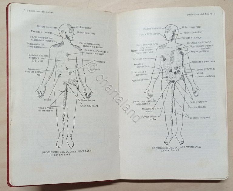 Medicina - AA. VV. - Vade mecum del medico - …