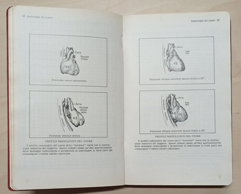 Medicina - AA. VV. - Vade mecum del medico - …