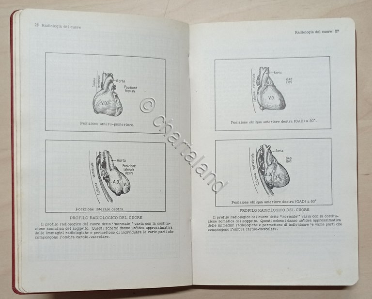 Medicina - AA. VV. - Vade mecum del medico - …