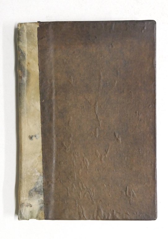 Medicina - Elementi di anatomia esterna - Ed. Lapi, Papini … | Immagine Gallery 6