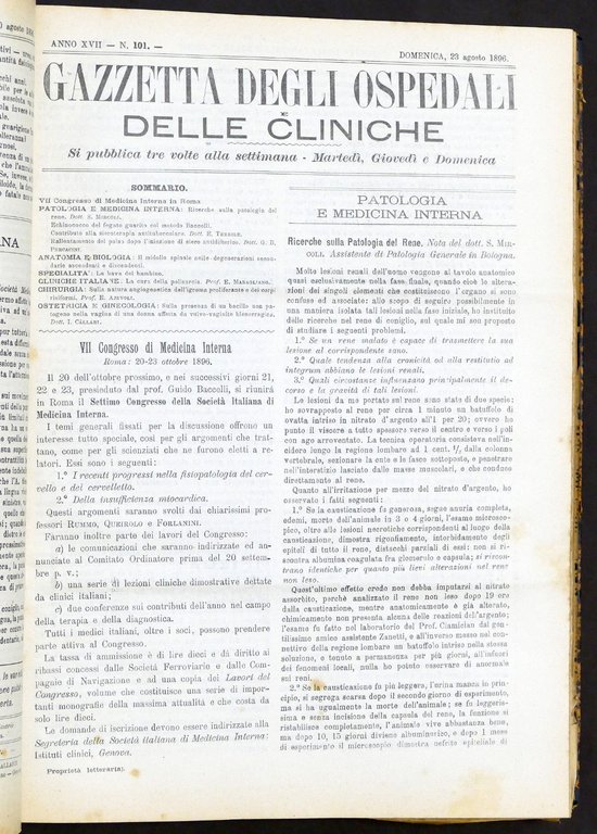 Medicina - Gazzetta degli ospedali e delle cliniche - 2° … | Immagine Gallery 3