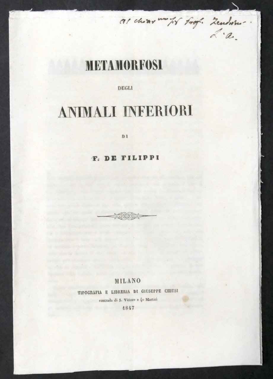 Metamorfosi degli animali inferiori di F. De Filippi - 1847