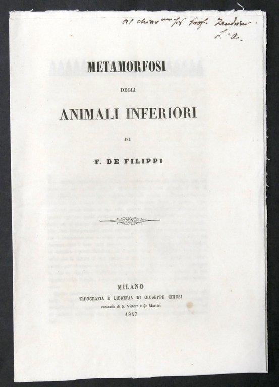 Metamorfosi degli animali inferiori di F. De Filippi - 1847