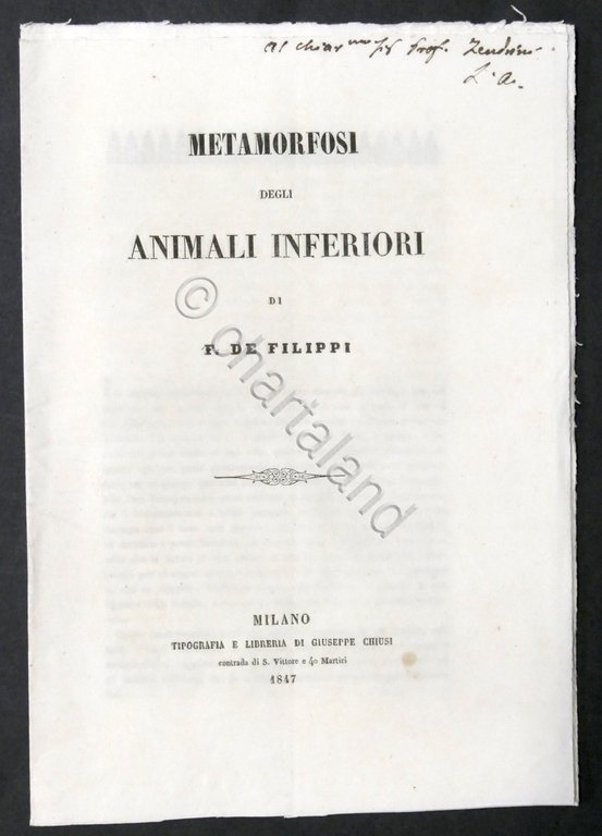 Metamorfosi degli animali inferiori di F. De Filippi - 1847