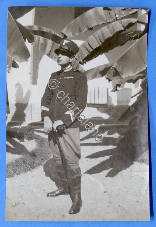 Militaria - Fotografia Carabiniere - 1930 ca.