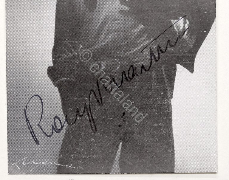 Musica - Autografo del cantante Ray Martino - anni '60