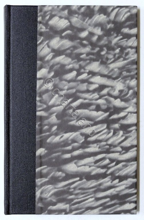 Musica - M. Mugnier - Essai d'une theorie nouvelle de …