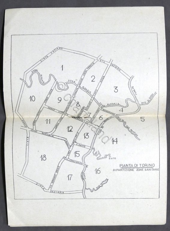 Mutua Operai Fiat Torino - Regolamento e Norme per Servizi …