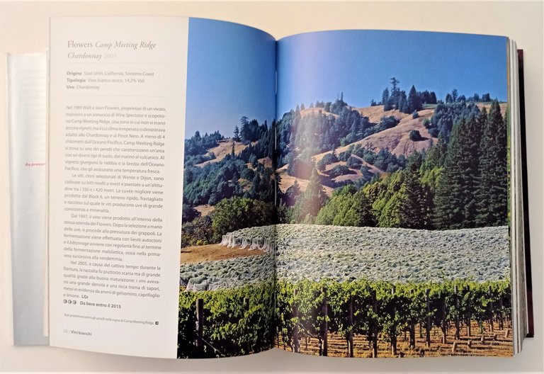 N. Beckett - 1001 vini da provare nella vita - …