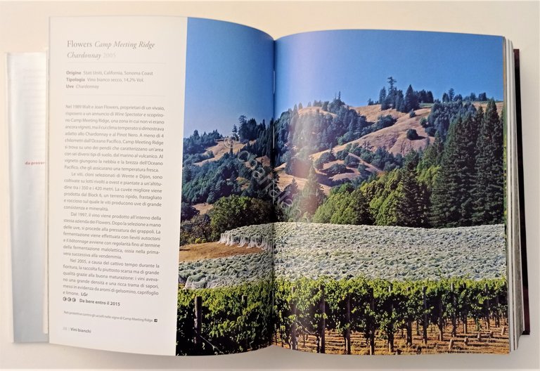 N. Beckett - 1001 vini da provare nella vita - …