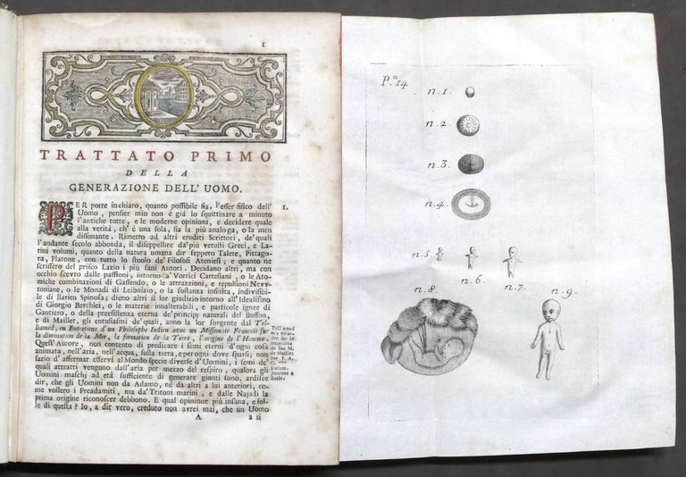 Notizie fisico-storico-morali de' bambini nonnati, abortivi, e projetti - 1760