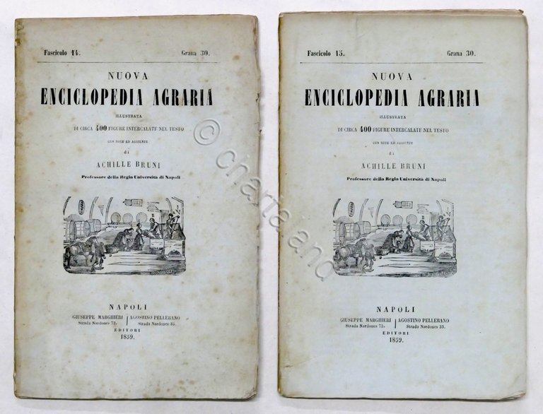 Nuova Enciclopedia Agraria - Fascicoli 14 e 15 - Anno 1859 - Fabbricare i vini
