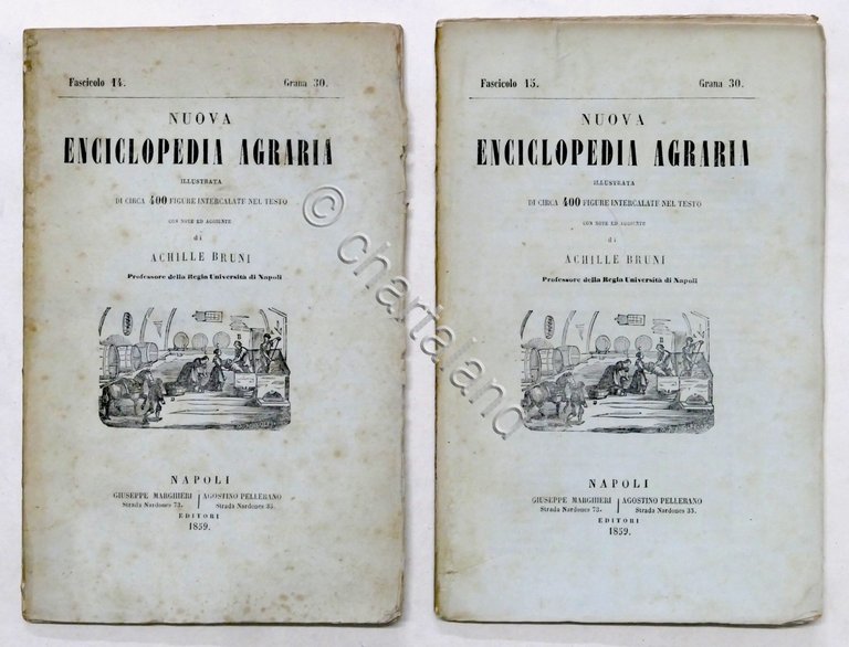 Nuova Enciclopedia Agraria - Fascicoli 14 e 15 - Anno …