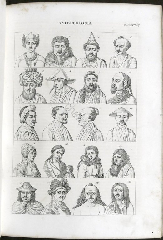Nuova Enciclopedia Popolare Dizionario generale scienze lettere... TAVOLE - 1849