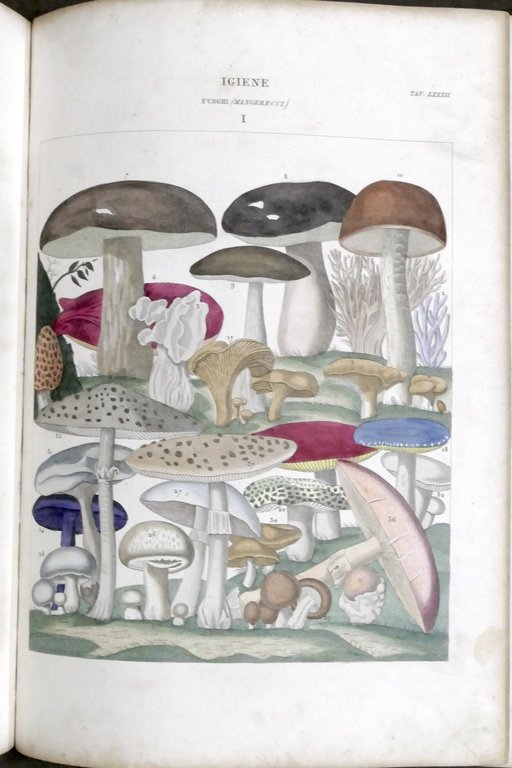 Nuova Enciclopedia Popolare Dizionario generale scienze lettere... TAVOLE - 1849
