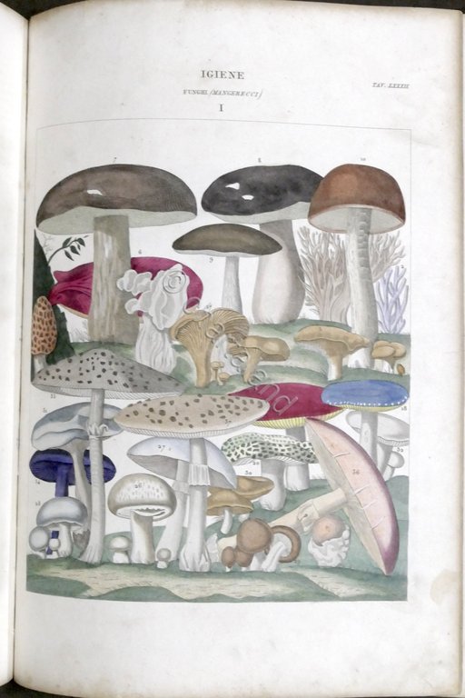 Nuova Enciclopedia Popolare Dizionario generale scienze lettere... TAVOLE - 1849