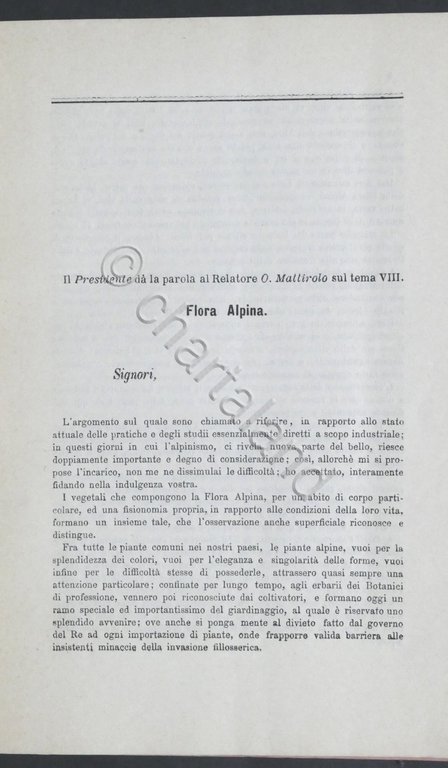 O. Mattirolo - Flora Alpina: la ricchezza delle Alpi - … | Immagine Gallery 2