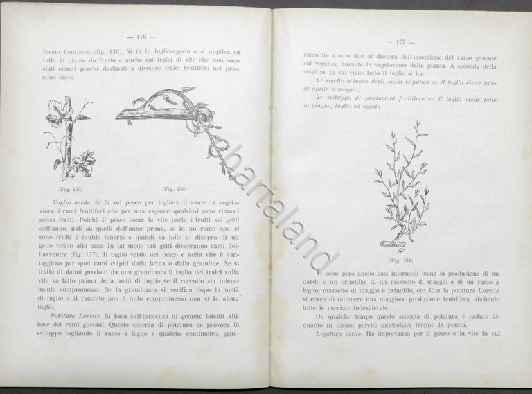 O. Soverchia - Elementi di Frutticoltura - ed. 1941 - …