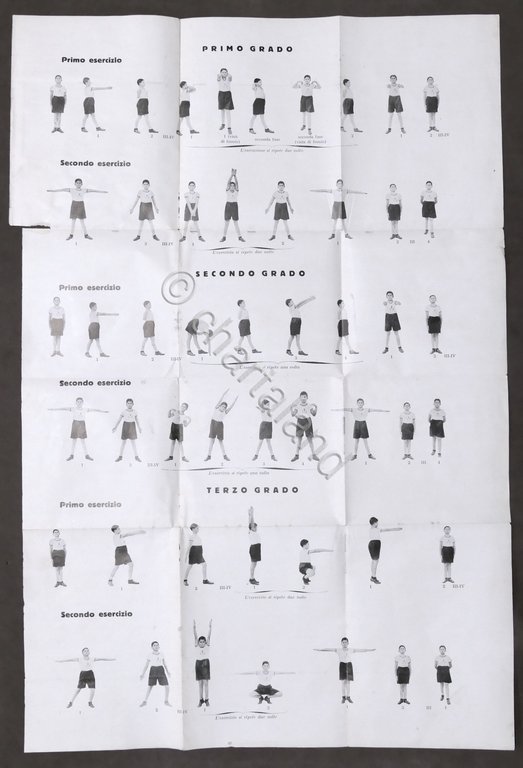 Opera Balilla Esercizi corpo libero alunni alunne scuole elementari e …