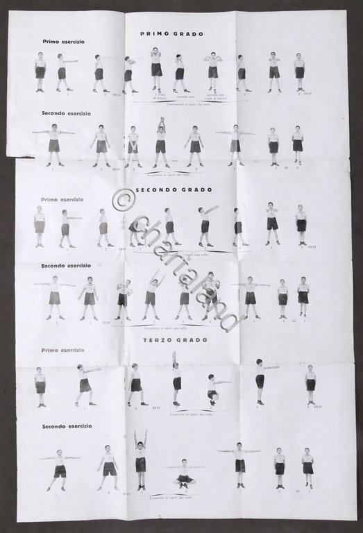 Opera Balilla Esercizi corpo libero alunni alunne scuole elementari e …