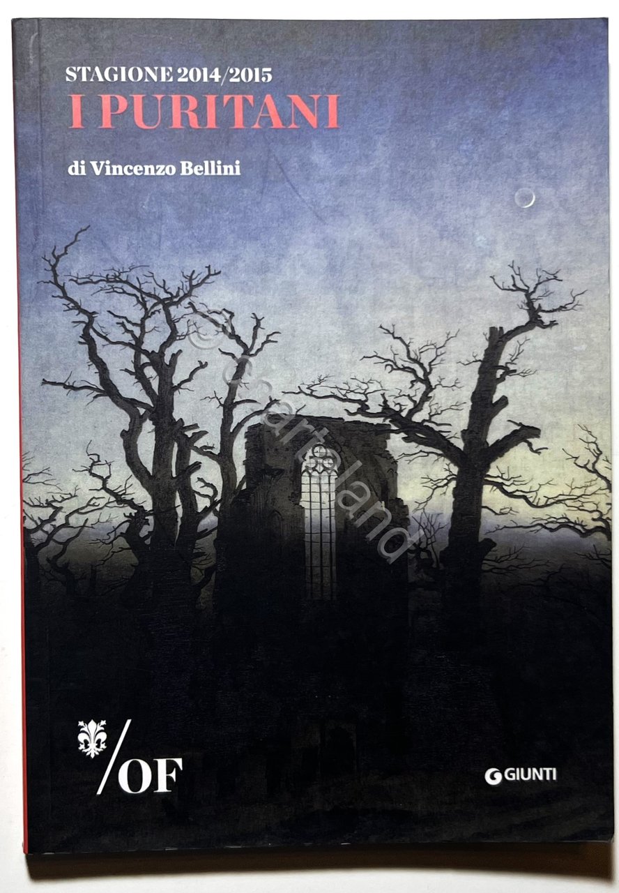 Opera di Firenze, Maggio Musicale 2014/2015 - I Puritani di … | Immagine principale