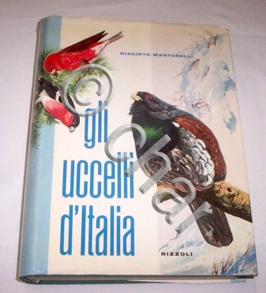 Ornitologia - G. Martorelli - Gli Uccelli d'Italia - ed. …
