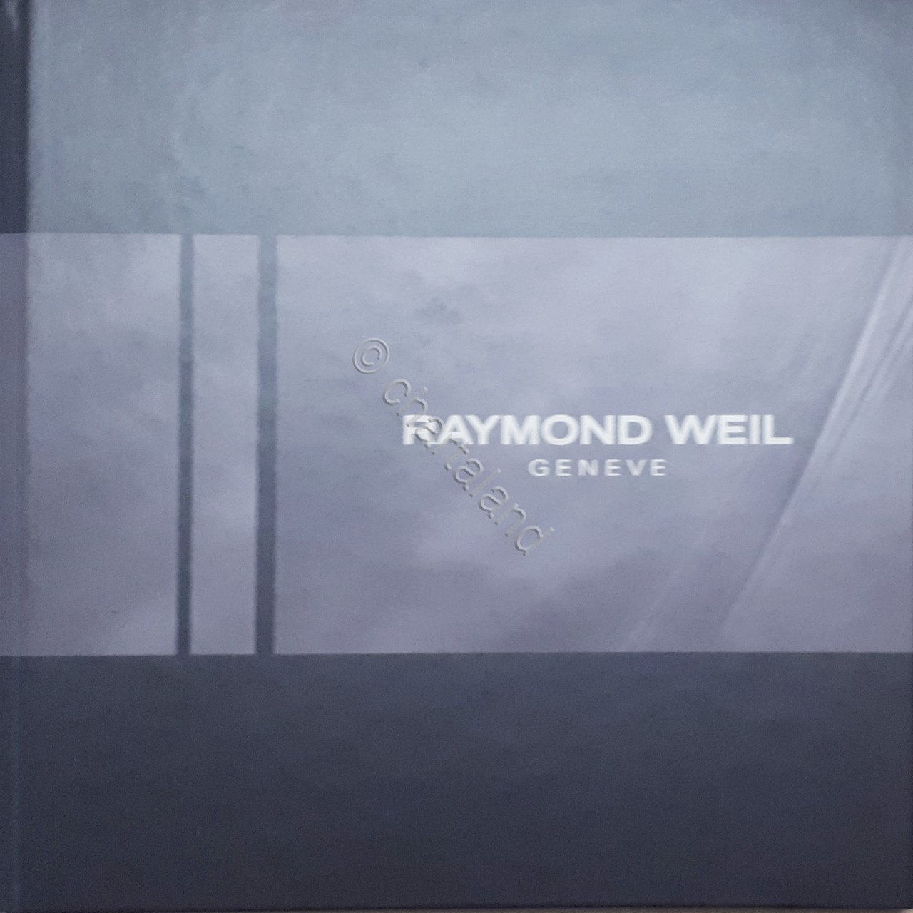 Orologeria - Catalogo Raymond Weil - Collection 2008 / 2009 | Immagine principale