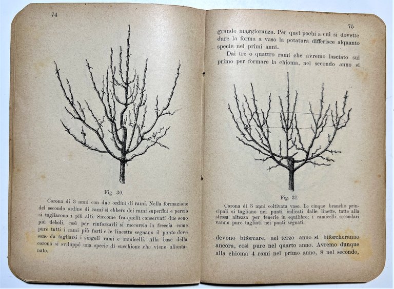 P. G. Rho - Frutticoltura pratica ad uso degli agricoltori …