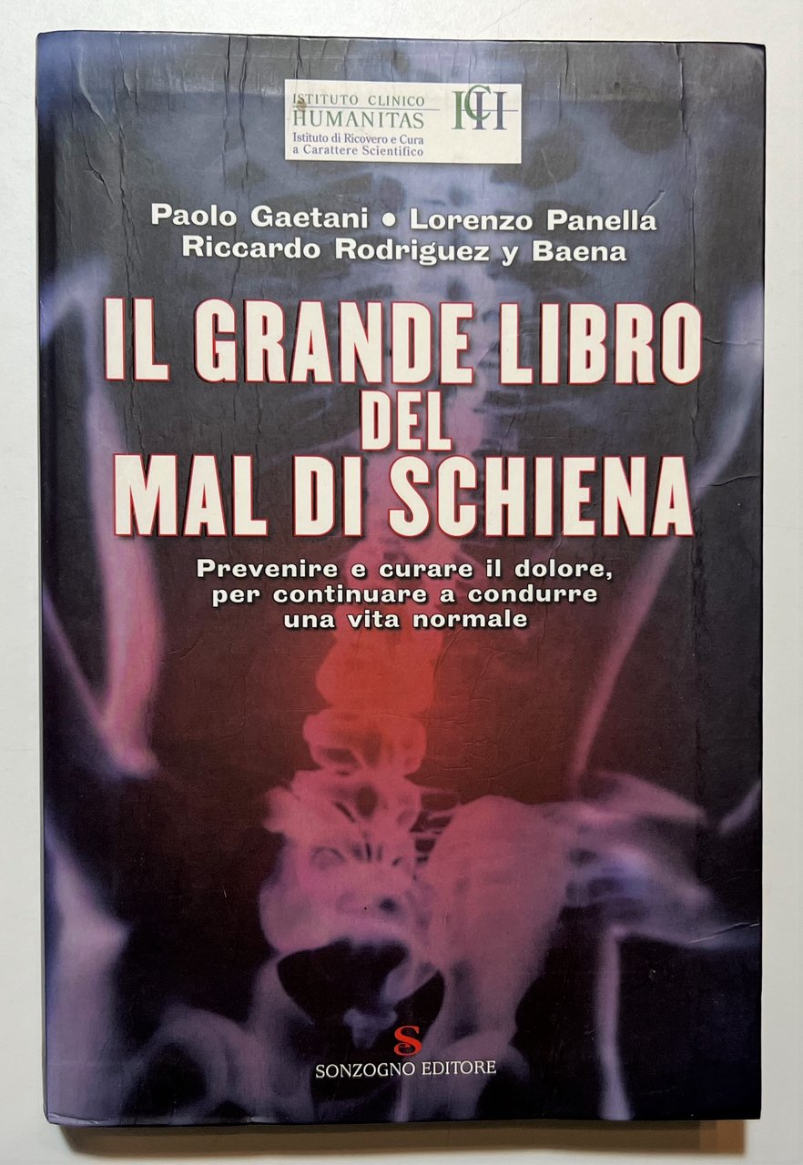 P. Gaetani, L. Panella e R. Rodriguez - Il Grande … | Immagine principale