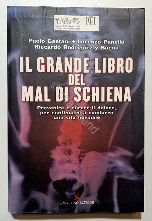 P. Gaetani, L. Panella e R. Rodriguez - Il Grande … | Immagine Gallery 2