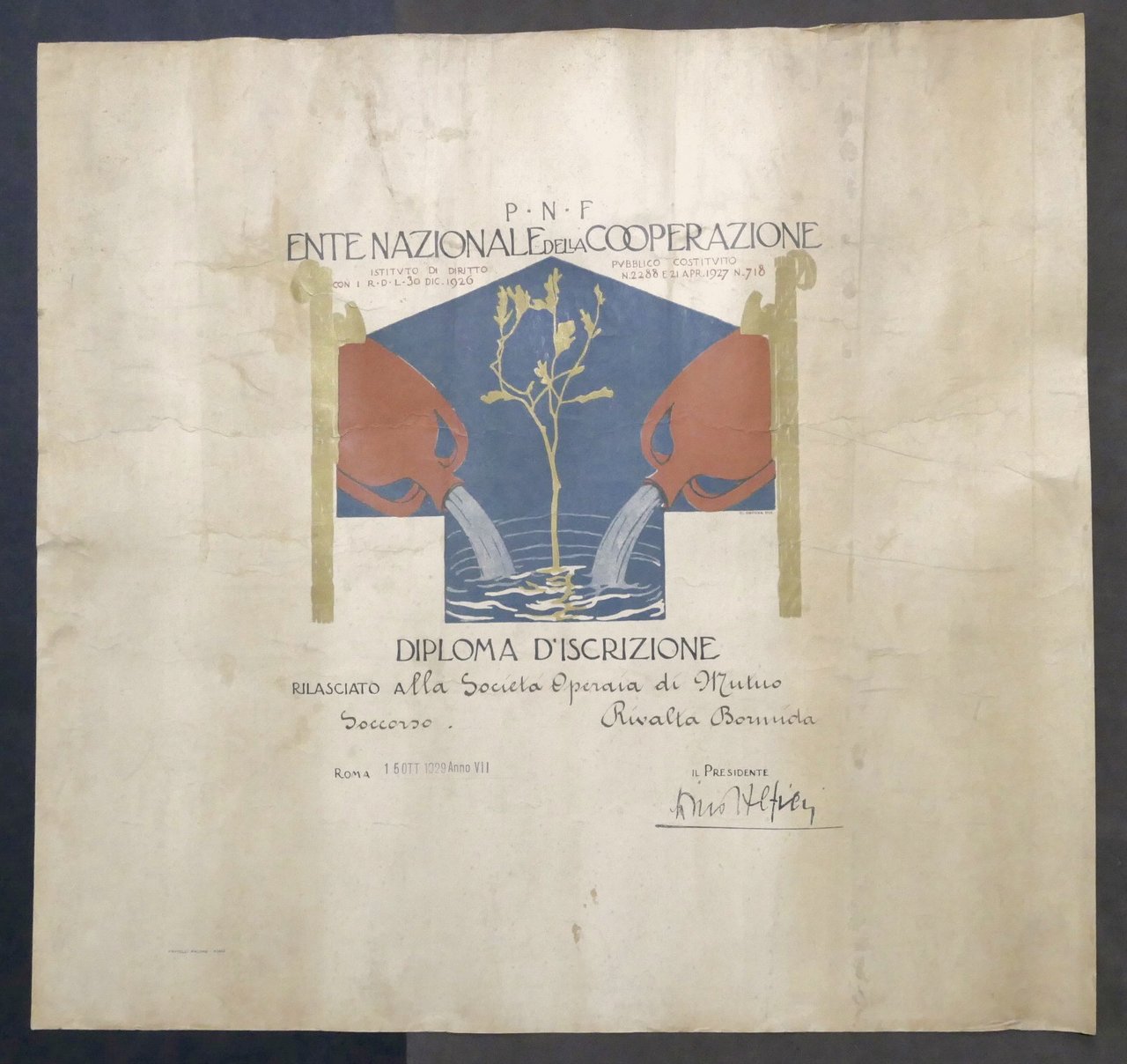 P.N.F. - Ente Nazionale di Cooperazione - Diploma d'iscrizione - …