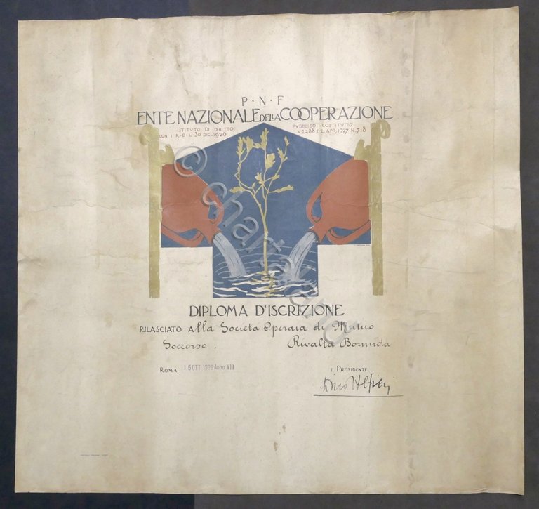 P.N.F. - Ente Nazionale di Cooperazione - Diploma d'iscrizione - …