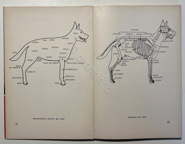 P. Vaugien - Manuale pratico di allevamento canino - ed. …